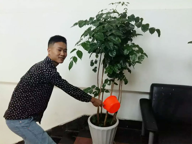 ɭɹWT